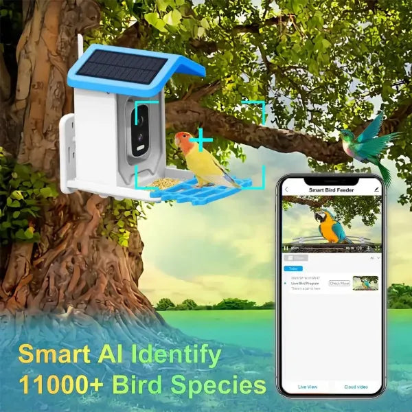 JulyBird Smart Bird Feeder with Camera – 4MP Solar WiFi Camera & AI Bird Recognition | 2-Pack