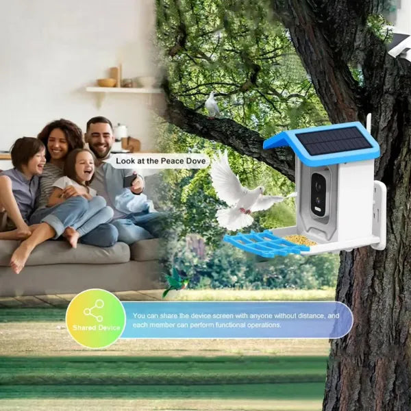 JulyBird Smart Bird Feeder with Camera – 4MP Solar WiFi Camera & AI Bird Recognition | 2-Pack
