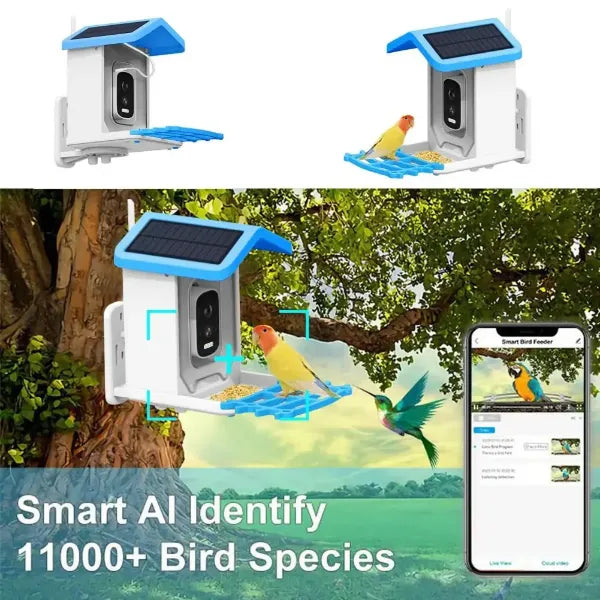 JulyBird Smart Bird Feeder with Camera – 4MP Solar WiFi Camera & AI Bird Recognition | 2-Pack