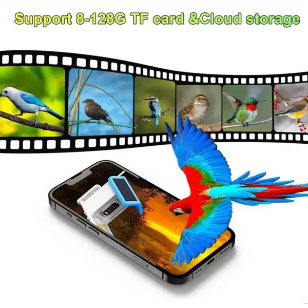 JulyBird Smart Bird Feeder with Camera – 4MP Solar WiFi Camera & AI Bird Recognition | 2-Pack
