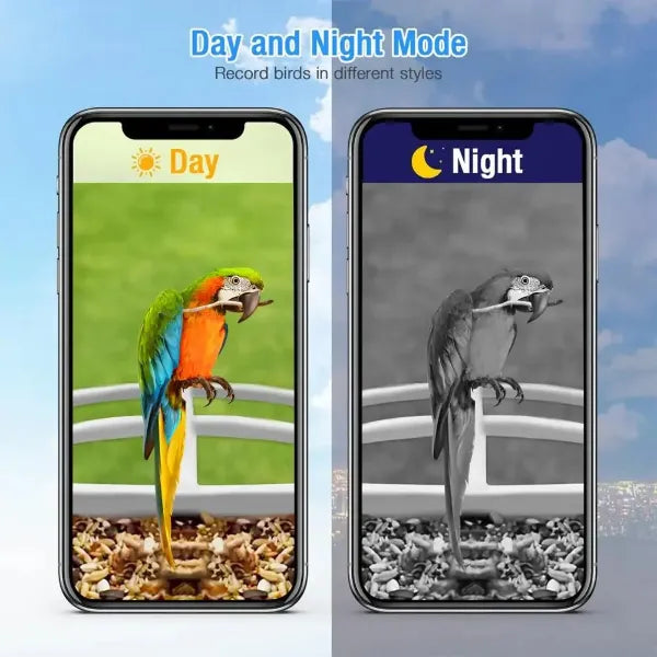 JulyBird Smart Bird Feeder with Camera – 4MP Solar WiFi Camera & AI Bird Recognition | 2-Pack