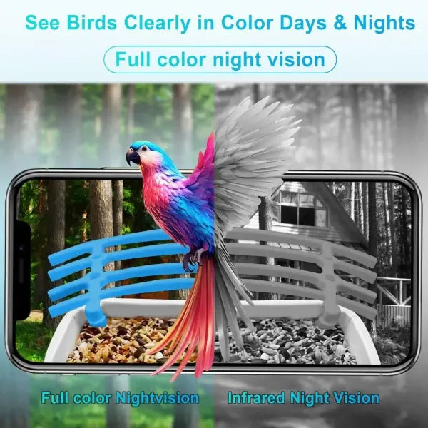 JulyBird Smart Bird Feeder with Camera – 4MP Solar WiFi Camera & AI Bird Recognition | 2-Pack