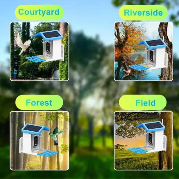 JulyBird Smart Bird Feeder with Camera – 4MP Solar WiFi Camera & AI Bird Recognition | 2-Pack