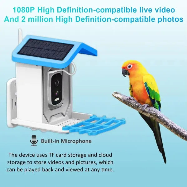 JulyBird Smart Bird Feeder with Camera – 4MP Solar WiFi Camera & AI Bird Recognition | 2-Pack