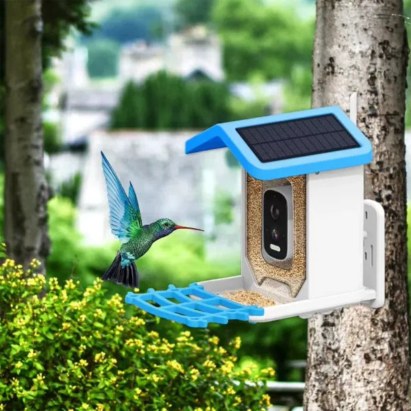 JulyBird Smart Bird Feeder with Camera – 4MP Solar WiFi Camera & AI Bird Recognition | 2-Pack