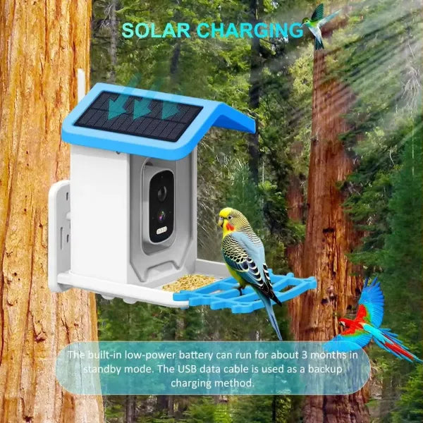 JulyBird Smart Bird Feeder with Camera – 4MP Solar WiFi Camera & AI Bird Recognition | 2-Pack