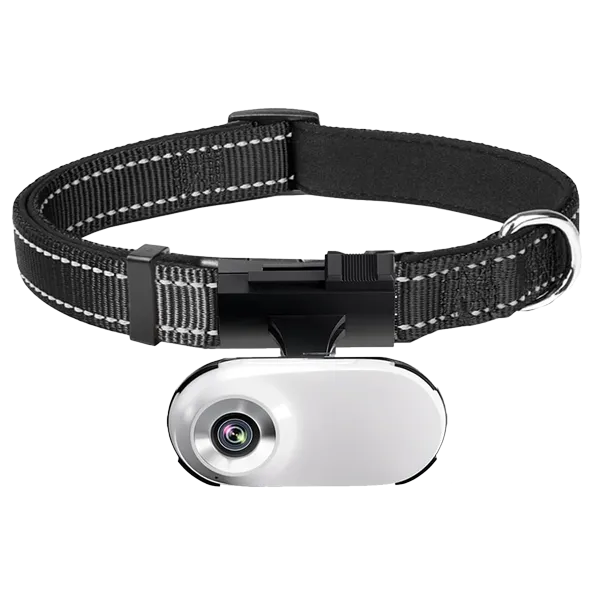 FurrSnap Dog Collar Camera – HD 1080P Wireless Mini Action Cam for Pets, Indoor & Outdoor, No WiFi Required
