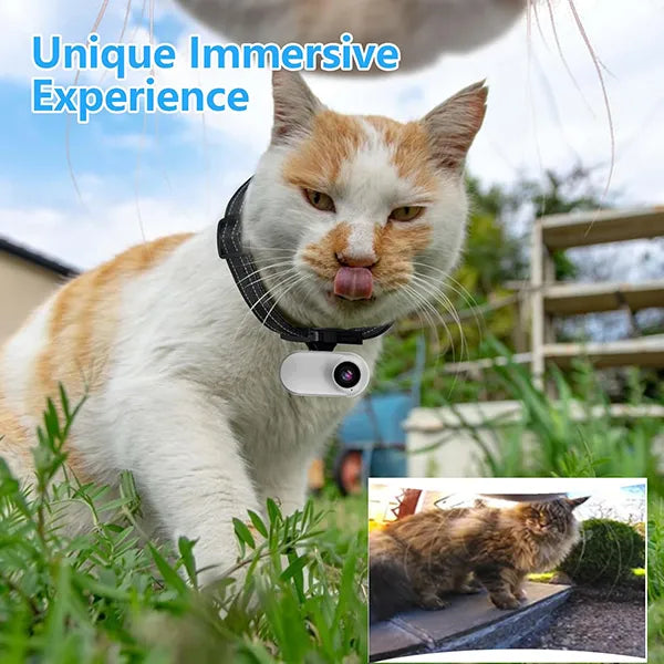 FurrSnap Dog Collar Camera – HD 1080P Wireless Mini Action Cam for Pets, Indoor & Outdoor, No WiFi Required