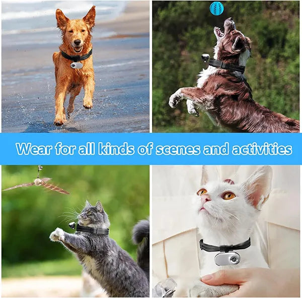 FurrSnap Dog Collar Camera – HD 1080P Wireless Mini Action Cam for Pets, Indoor & Outdoor, No WiFi Required