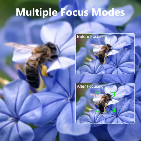 Lumixy Cameras For Beginners