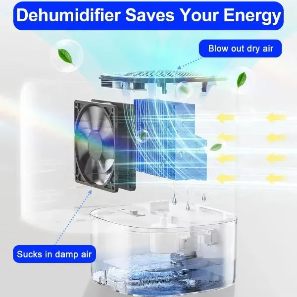 Airvella Dehumidifier For Bedroom AU2