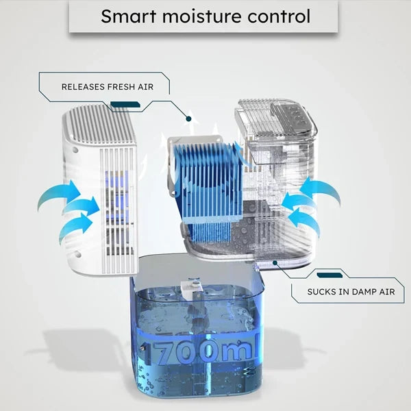 Airvella Dehumidifier For Bedroom AU2
