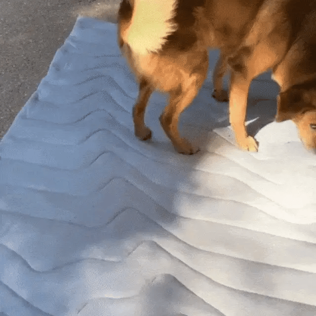 S2 DeliG Dog Cooling Mats US7421