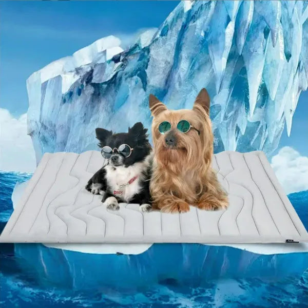 S2 DeliG Dog Cooling Mats US7421