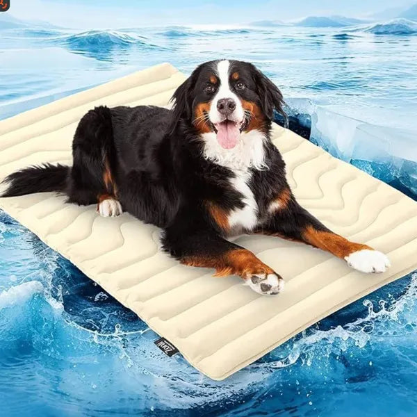 S2 DeliG Dog Cooling Mats US7421