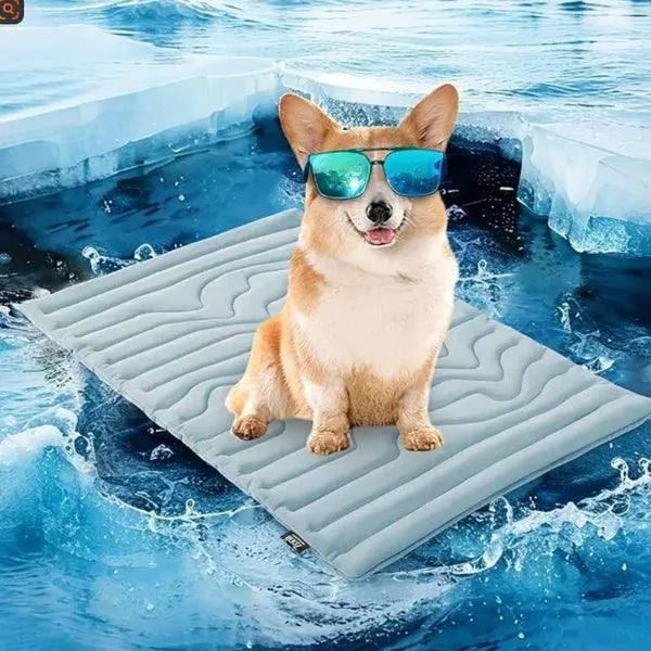 S2 DeliG Dog Cooling Mats US7421