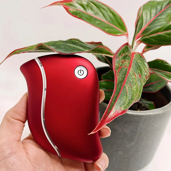 EviNia Face Massagers