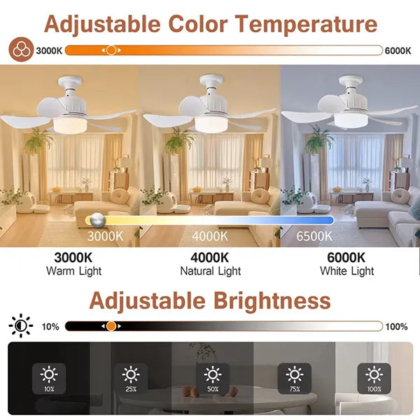 Fanooza Ceiling Fan with Light – Modern Design for Australian Homes