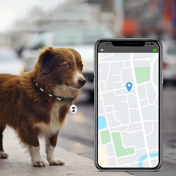 SoraPaw Cat GPS Tracker