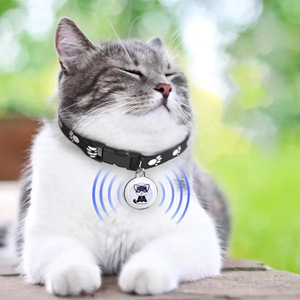 SoraPaw Cat GPS Tracker