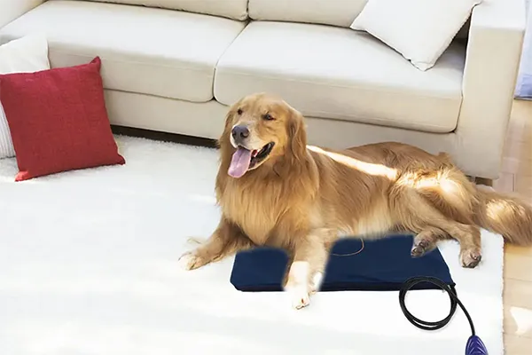 Viranor Heated Pet Bed – Electric Self-Warming Bed for Dogs & Cats | 3 Sizes