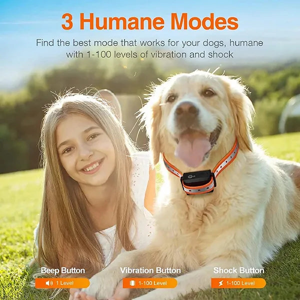 YoriPet Dog Training Collar – Adjustable E-Collar for Small, Medium & Large Dogs | 4 Colors