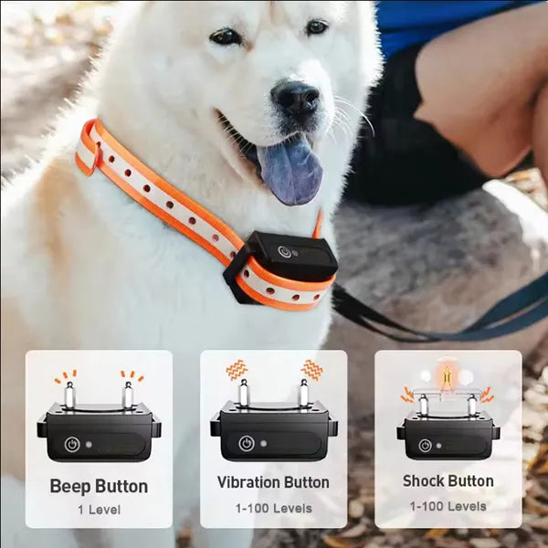 YoriPet Dog Training Collar – Adjustable E-Collar for Small, Medium & Large Dogs | 4 Colors