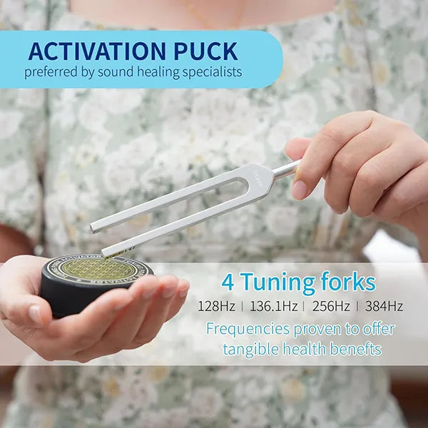 B2 TuriFok Weighted Tuning Forks US02