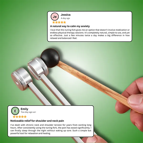 HeavyFork Weighted Tuning Fork Set – 128Hz, 136Hz, 256Hz, 384Hz with Activator, Sound Therapy for Chakra, Yoga & Meditation