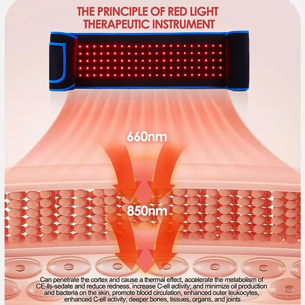 iThLight Red Light Therapy Belts