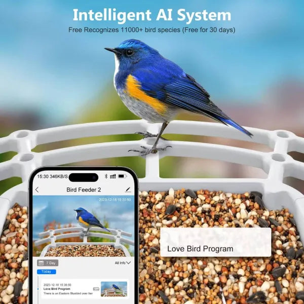 CoLoSm IP66 Smart Bird Feeders