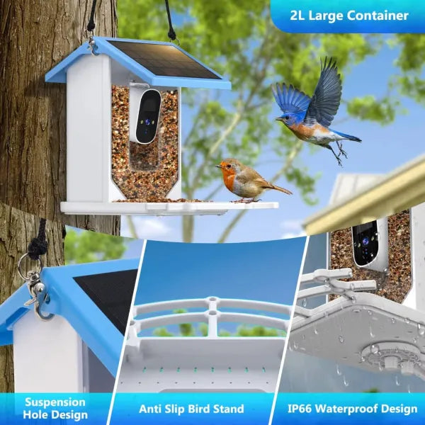CoLoSm IP66 Smart Bird Feeders