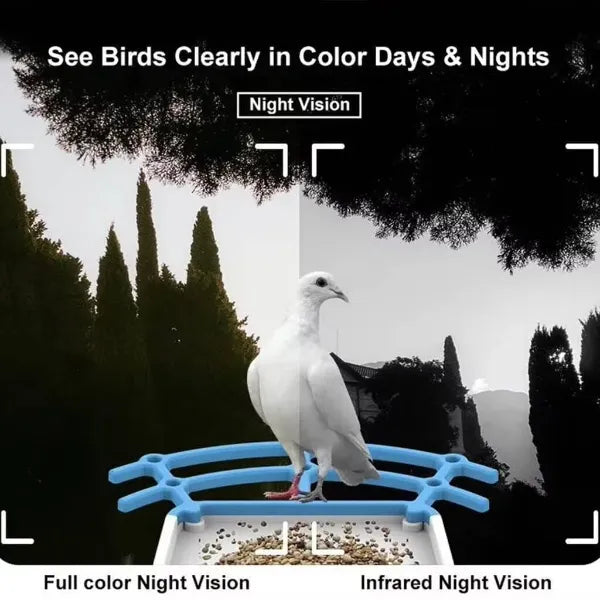 CoLoSm IP66 Smart Bird Feeders