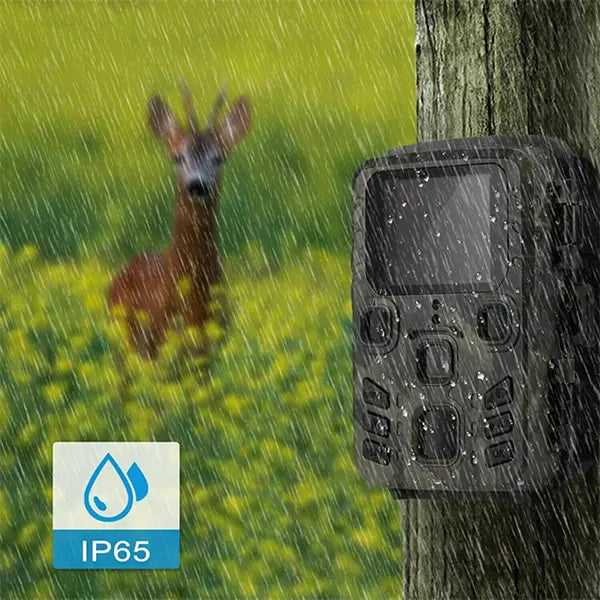 WifSifa WiFi Trail Camera – Wireless Outdoor Wildlife & Security Camera | Without Card or With 32GB Card