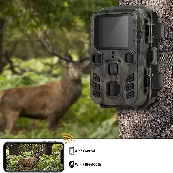Z2 OliTrap Camera Traps US1
